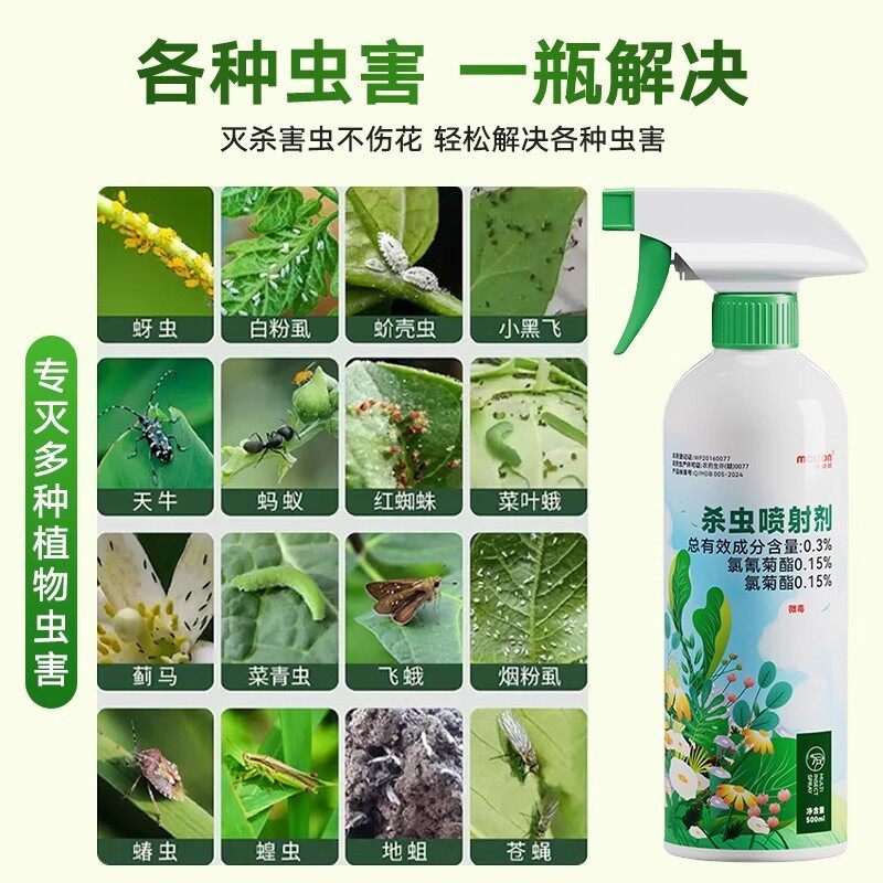 花卉植物灭虫小黑飞蚜虫白粉虱