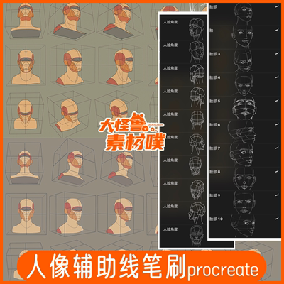 procreate笔刷人体脸部人像辅助线稿素描ipad绘画零基础人物模型