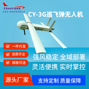 CY-3G 巡飞弹无人机 淳一航空 便携弹射察打一体长续航侦察可定制