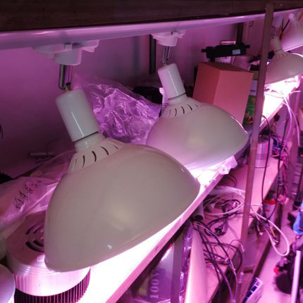 白色路轨灯舞台氛围灯摄影商用展位照明圆形LED白红黄光球泡灯