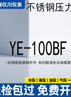 上海仪川仪表厂YE-100BF膜盒不锈钢压力表16kpa千帕天燃气煤气体