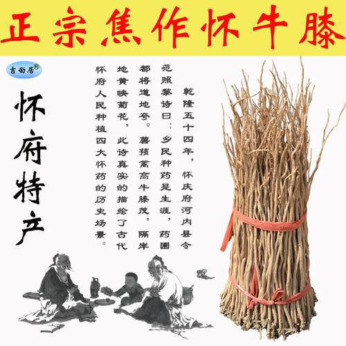吉劭居怀牛膝河南焦作产产地直发