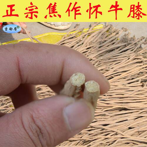 吉劭居怀牛膝河南焦作产产地直发