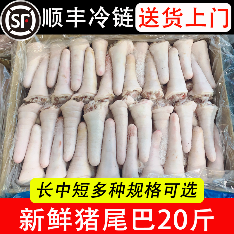 新鲜冷冻猪尾巴 猪长尾 猪短尾  猪中尾20斤无根尾巴卤菜商用食材