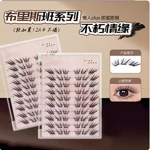 小薄片布里斯班不朽情缘假睫毛柔软初学者隐形Y23