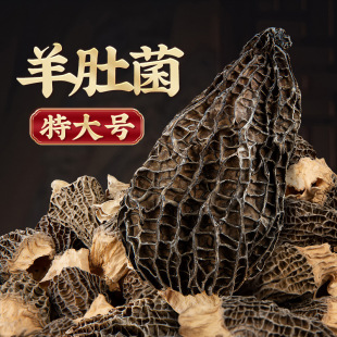 新货羊肚菌六妹羊肚菌干货特大6-8中号4-6山珍菌菇煲汤食材滋补品