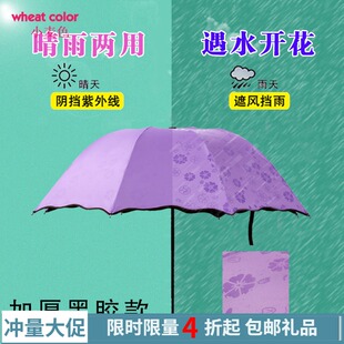 8骨遇水开花太阳伞 三折伞防晒太阳伞黑胶10骨遮阳伞晴雨伞遮阳伞