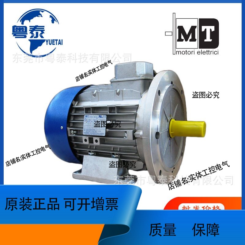 意大利MT电机TN63B4 71B4 80B4 90L4 TFP 100B4 TFP 112B4 132MB4