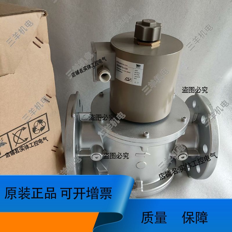 SG80F02NT33 施能电磁阀SG65F02NT33