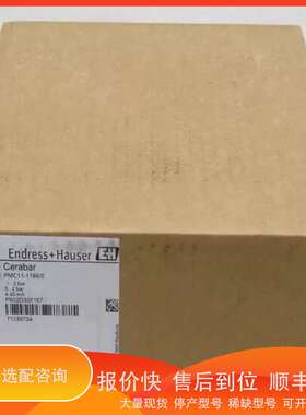 E+H恩德斯豪斯PMC11-1186/0压力开关传感器PMC议价