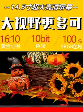 DELL戴尔灵越 7400原装显示屏幕 2.5K高分辨率 N145GCG-GT1液晶屏