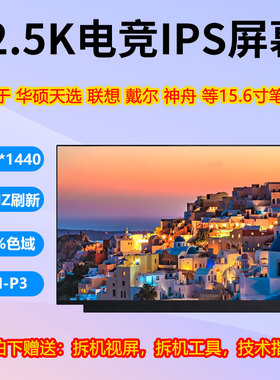 华硕天选升级165HZ高色域2.5K屏幕 N156KME-GNA NE156QHM-NY1 NY4