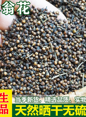 水翁花广西中草药清温润喉润肺