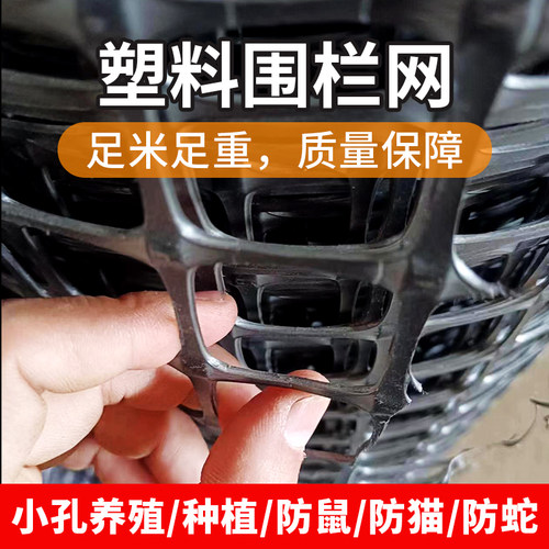 塑料网养鸡网养殖围栏网防护围网