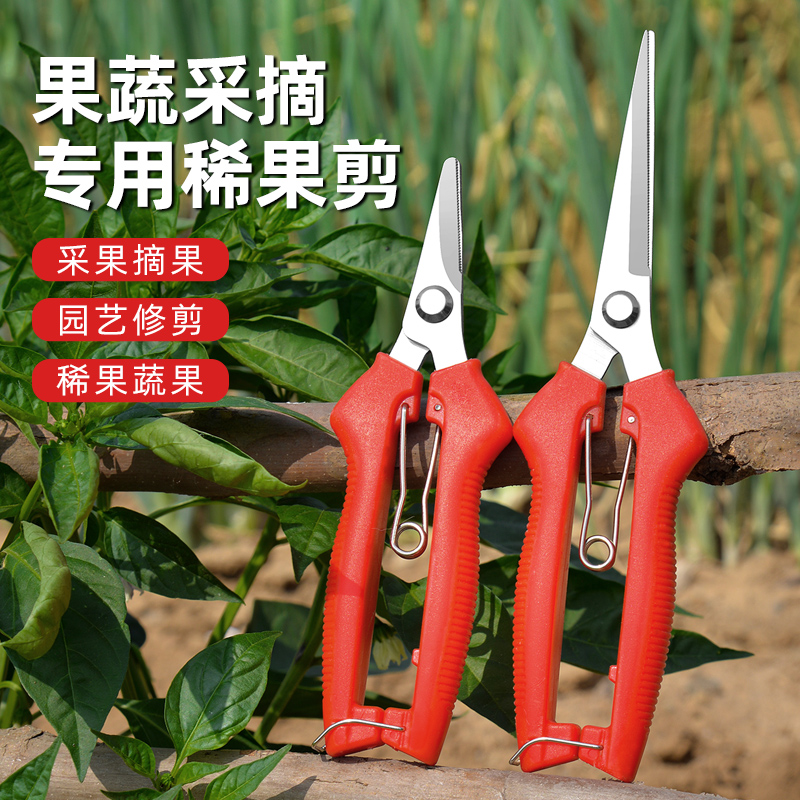 疏果剪刀摘茄子园艺剪子摘果专用工具剪蔬菜葡萄稀果神器黄瓜辣椒
