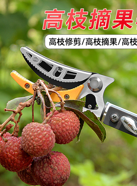 摘柿子剪刀摘果神器伸缩枇杷高空水果加长采摘器黄皮高枝剪龙眼杆