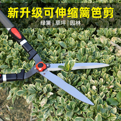 绿化带修枝剪园艺大剪刀绿篱剪