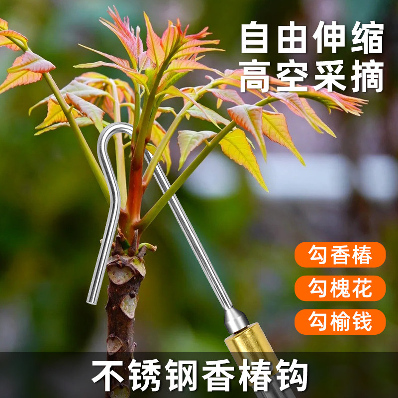 摘香椿神器伸缩杆摘香椿芽工具钩槐花采摘钩子剪勾掰子高空打榆钱