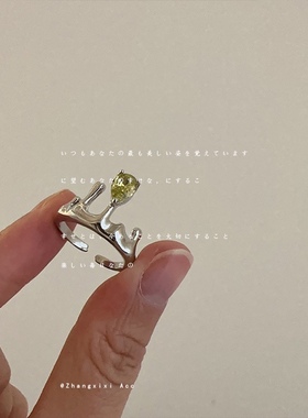 小众设计感锆石皇冠戒指指环女时尚新款气质百搭