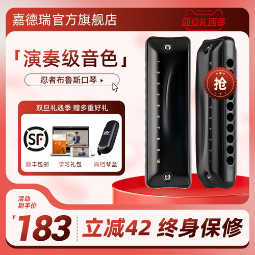 初学推荐嘉德瑞10孔布鲁斯口琴