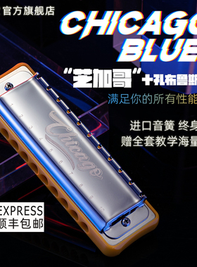 JDR嘉德瑞芝加哥chicago布鲁斯蓝调十孔口琴10孔C调初学者paddy