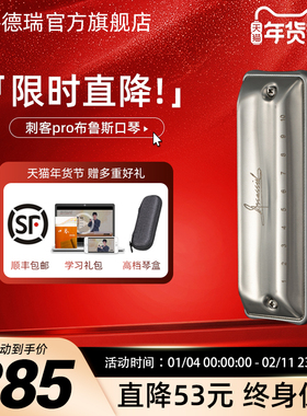 JDR嘉德瑞AssassinPro刺客布鲁斯蓝调十孔口琴10孔C专业演奏paddy