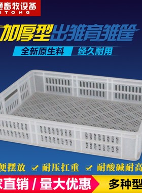 孵化机育雏塑料运输筐