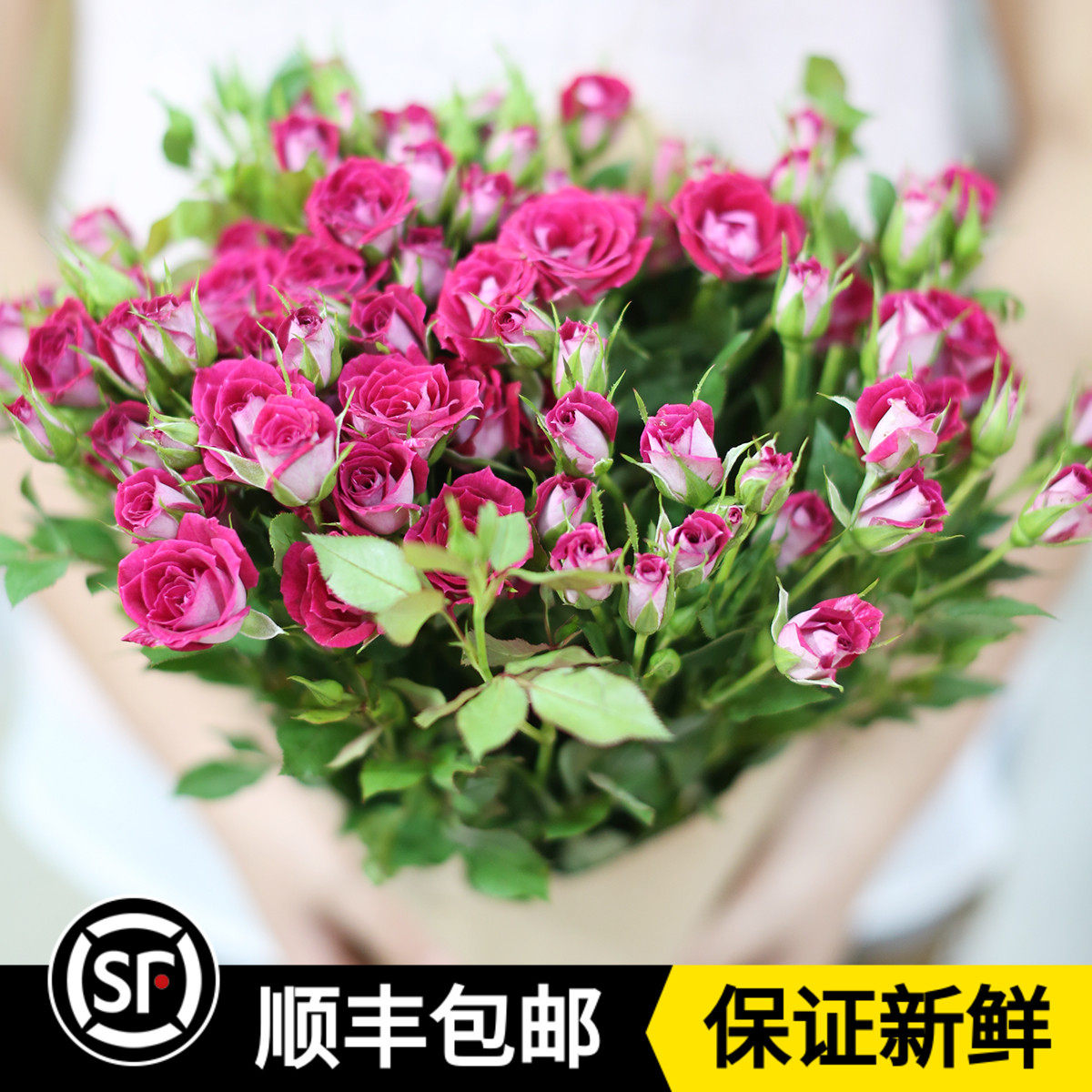 多头玫瑰蔷薇玫瑰花多少钱 多头玫瑰蔷薇玫瑰花优惠券免费领取 有条鱼