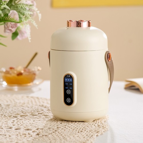 110v伏出口加拿大电煮锅电饭锅