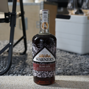 国行·Warner‘s温特金黑刺李味手工金酒配制酒杜松子基酒