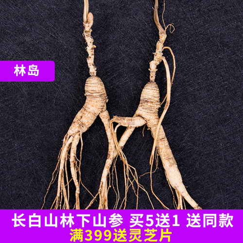 林下微残满10支吉林山参林岛