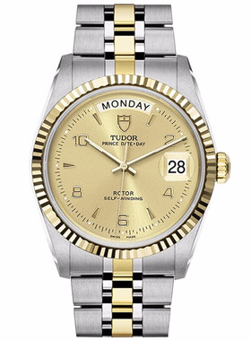 瑞士帝舵TUDOR手表 王子星期日历型防水自动机械男表 M76213-0013
