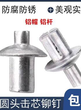 敲击式铆钉铝美式击芯铆钉
