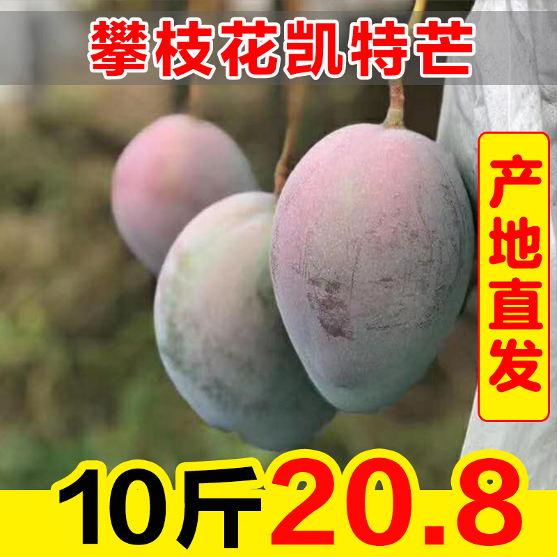 四川攀枝花凯特大芒果水果新鲜整箱10斤当季包邮应季甜青皮芒果5