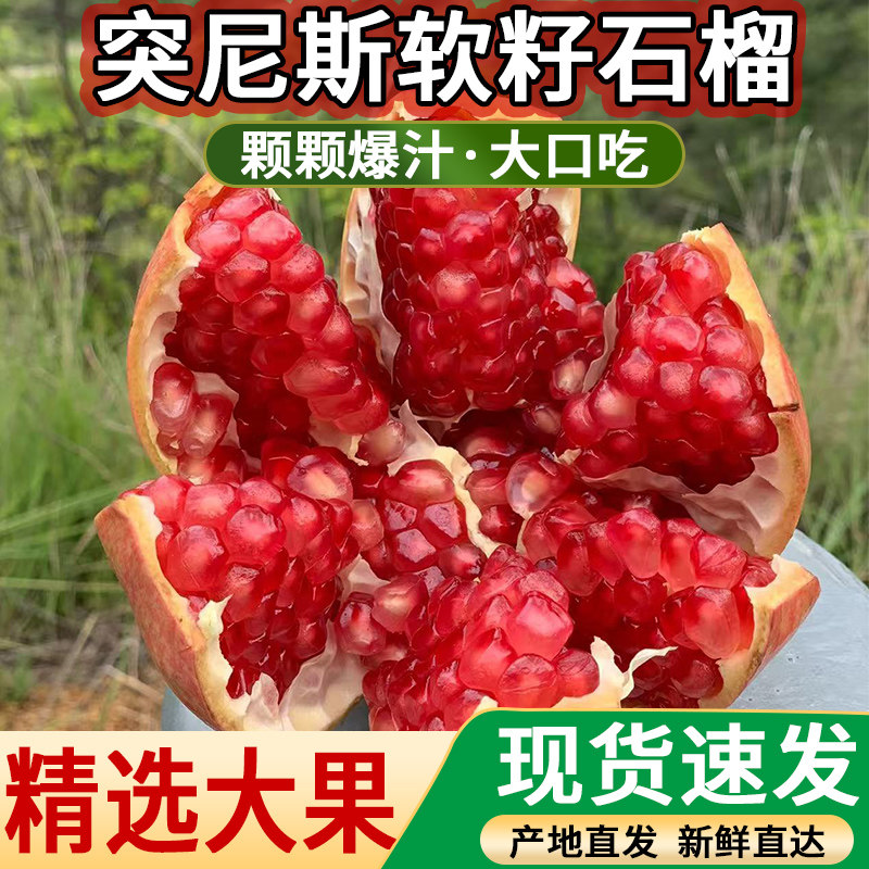 现货四川会理突尼斯软籽石榴新鲜水果红宝石当季无籽中秋礼盒整箱