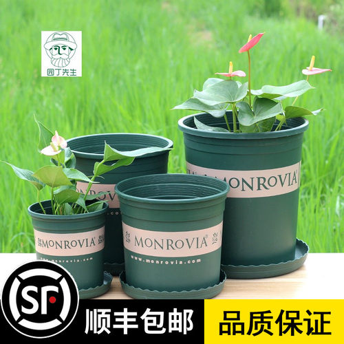 蔷薇阳台盆栽园艺用品圆形花盆