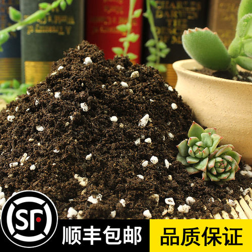 月季营养土多肉土养花盆栽500g装