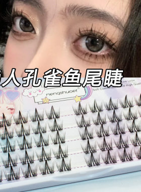 羽扇款懒人三部曲假睫毛孔雀鱼