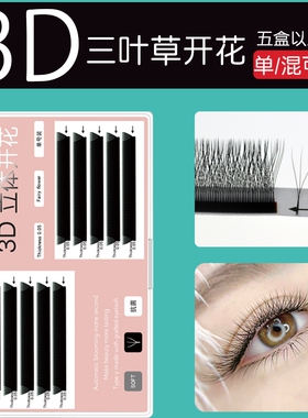 三叶草3D嫁接睫毛升级款不散根