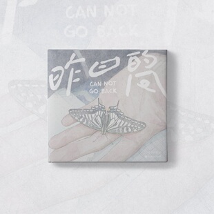 昨日的风插画师泽川风荷首本画集青春校园回忆温暖怀念毕业礼物