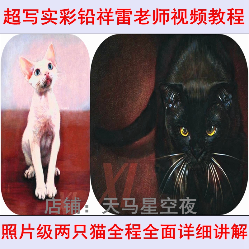 ³¬Ð´Êµ²ÊǦÏéÀ×ÀÏʦÕÕÆ¬¼¶ÊÖ»æ»Ã¨¶¯Îï×ÔѧÃÀÊõ¿Î³ÌÏê½âÊÓÆµ½Ì³Ì