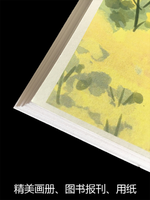 精美画册纸质感书籍印刷饱满流畅