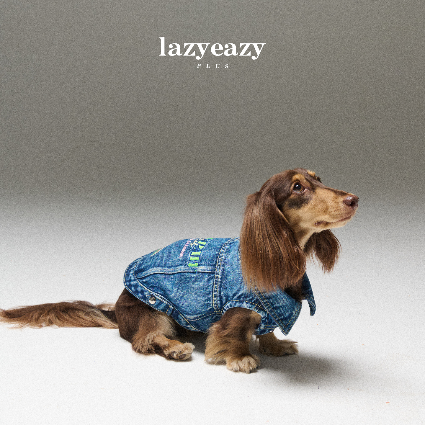 Lazyeazy宠物狗狗衣服刺绣水洗牛仔马甲赛车风保暖新品冬中小型犬