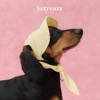 Lazyeazy宠物狗狗帽子系带遮阳帽子轻薄防晒可调节夏季新款露耳犬