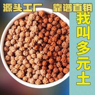 多元土多肉拌土种植铺面专用凹凸活力土透气生根精品C65