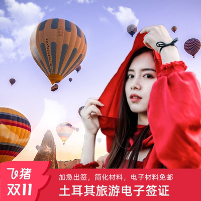土耳其旅游签证移民局网站
