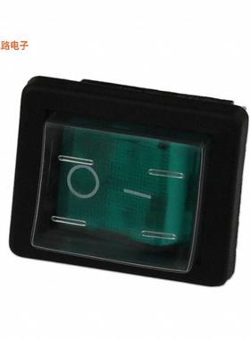 C1353ALGNE -[全新SWITCH ROCKER DPST 16A 250V]