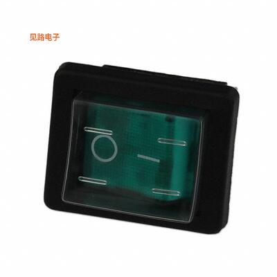 C1353ALGNE -[全新SWITCH ROCKER DPST 16A 250V]