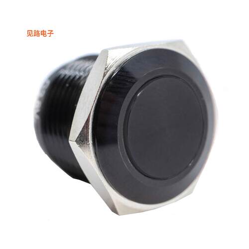PV6F24011G -[全新SWITCH PUSHBUTTON SPST 2A 48V]