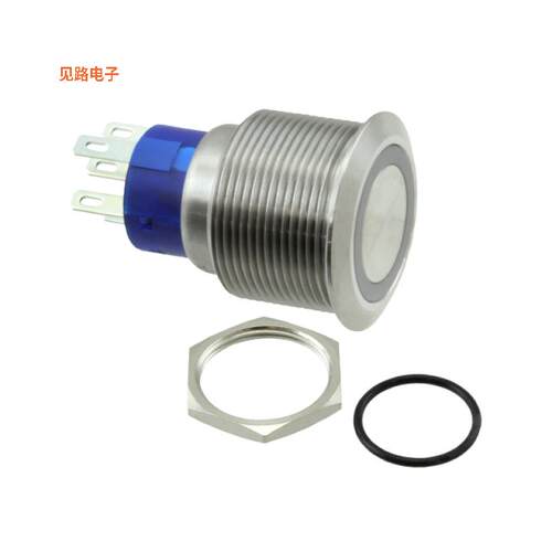 AV2220E612Q04 -[全新SWITCH PUSHBUTTON DPDT 3A 250V]